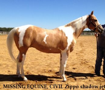 MISSING EQUINE, CIVIL Zippo shadow jet , REWARD  Near Sallisaw , OK, 74955